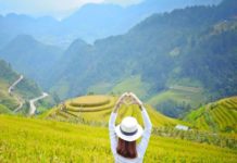 越南旅遊熱潮興起…但卻有網友表示是讓人無法安心旅遊的地方?